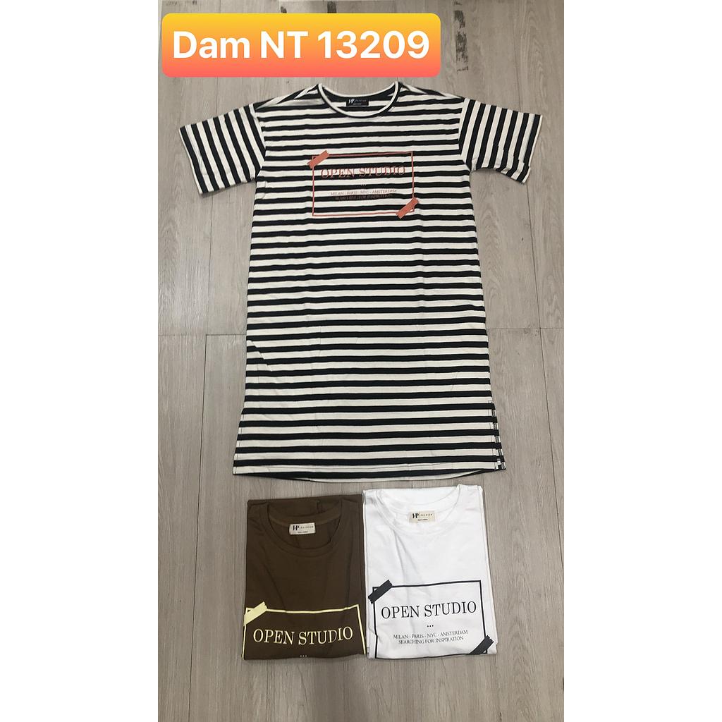 Dam NT 1320901