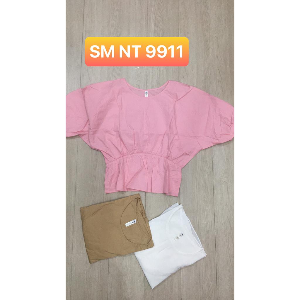 SM NT 991101