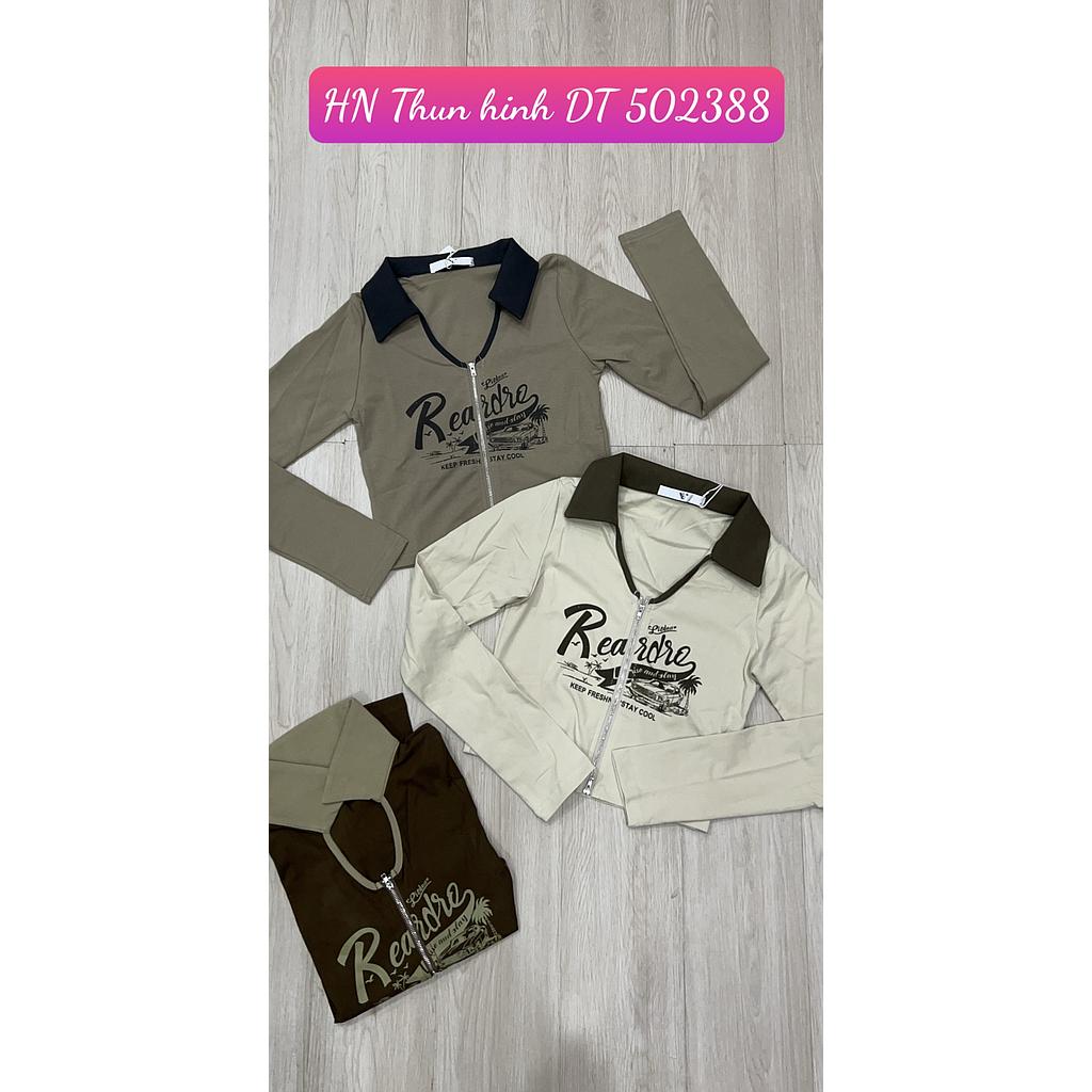 Thun hinh DT 50238805