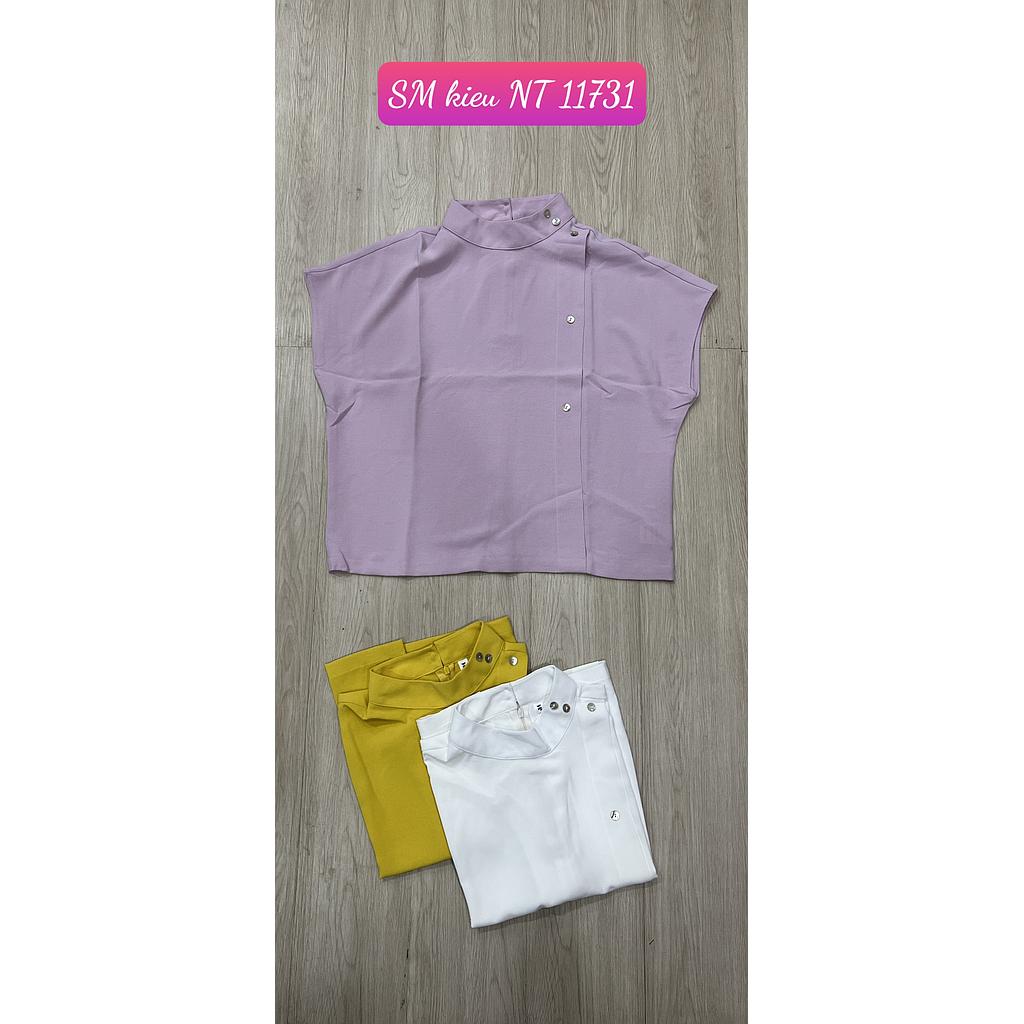 SM kieu NT 1173101