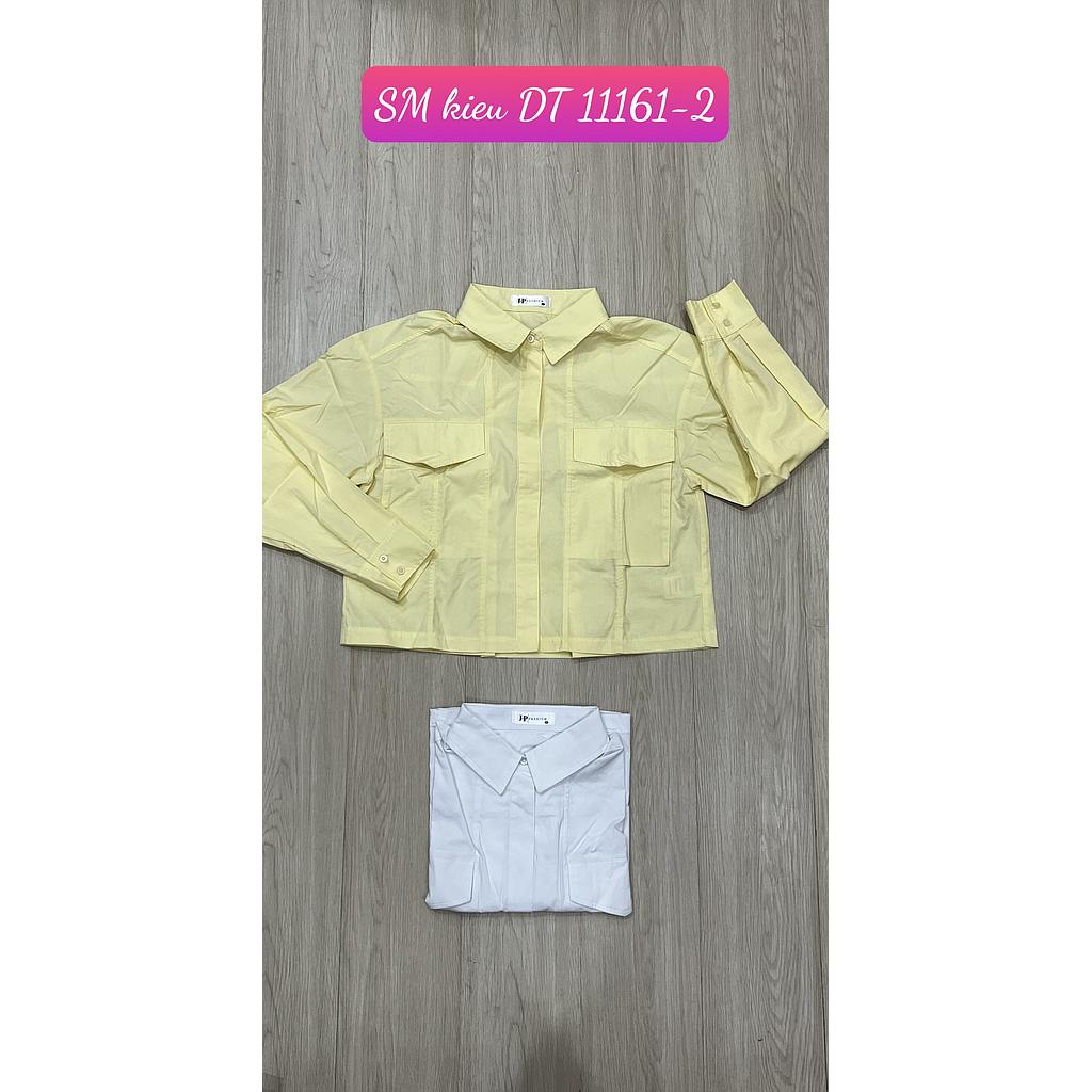 SM kieu DT 11161-201