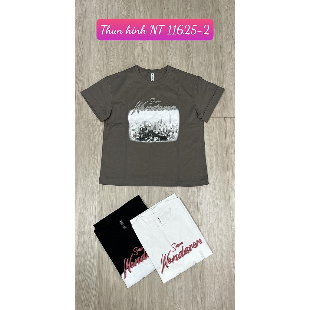 Thun hinh NT 11625-201