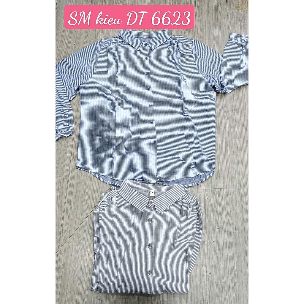 SM DT 662302