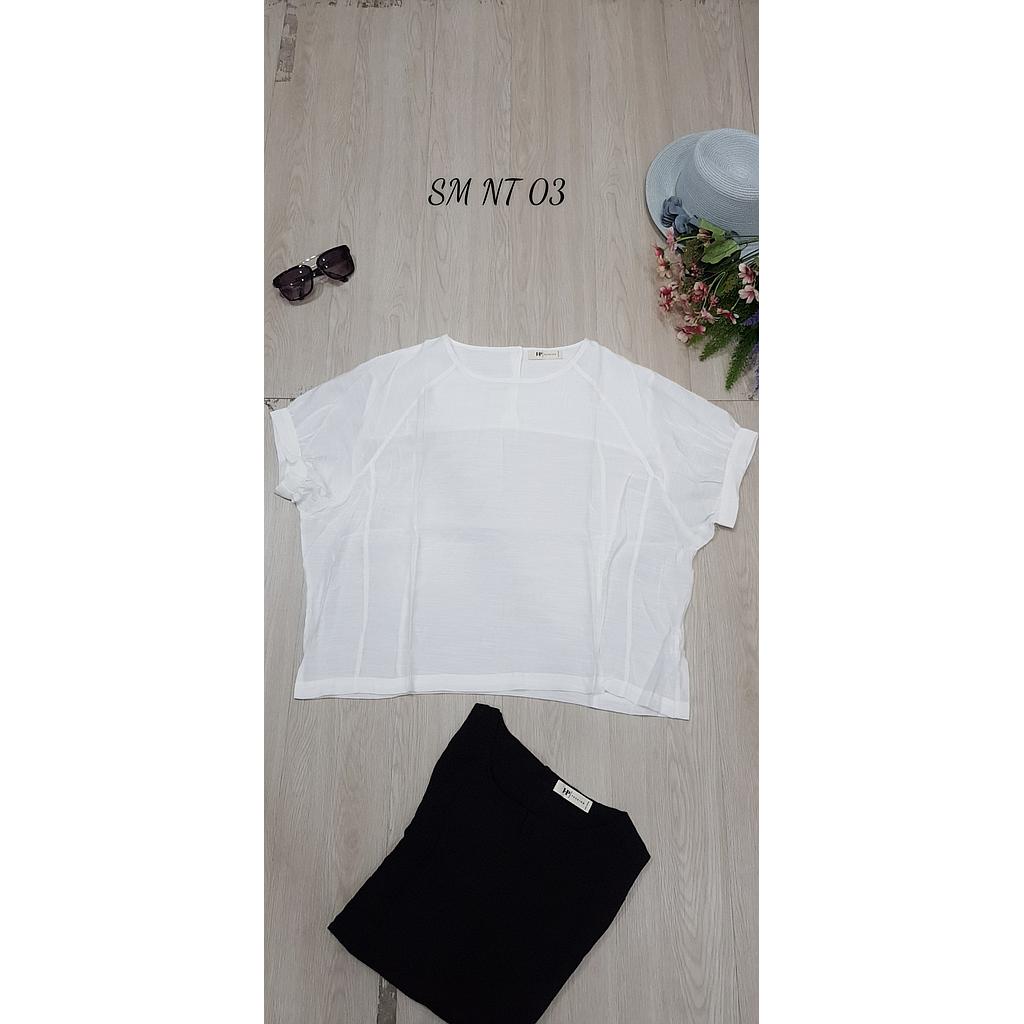 SM NT 03