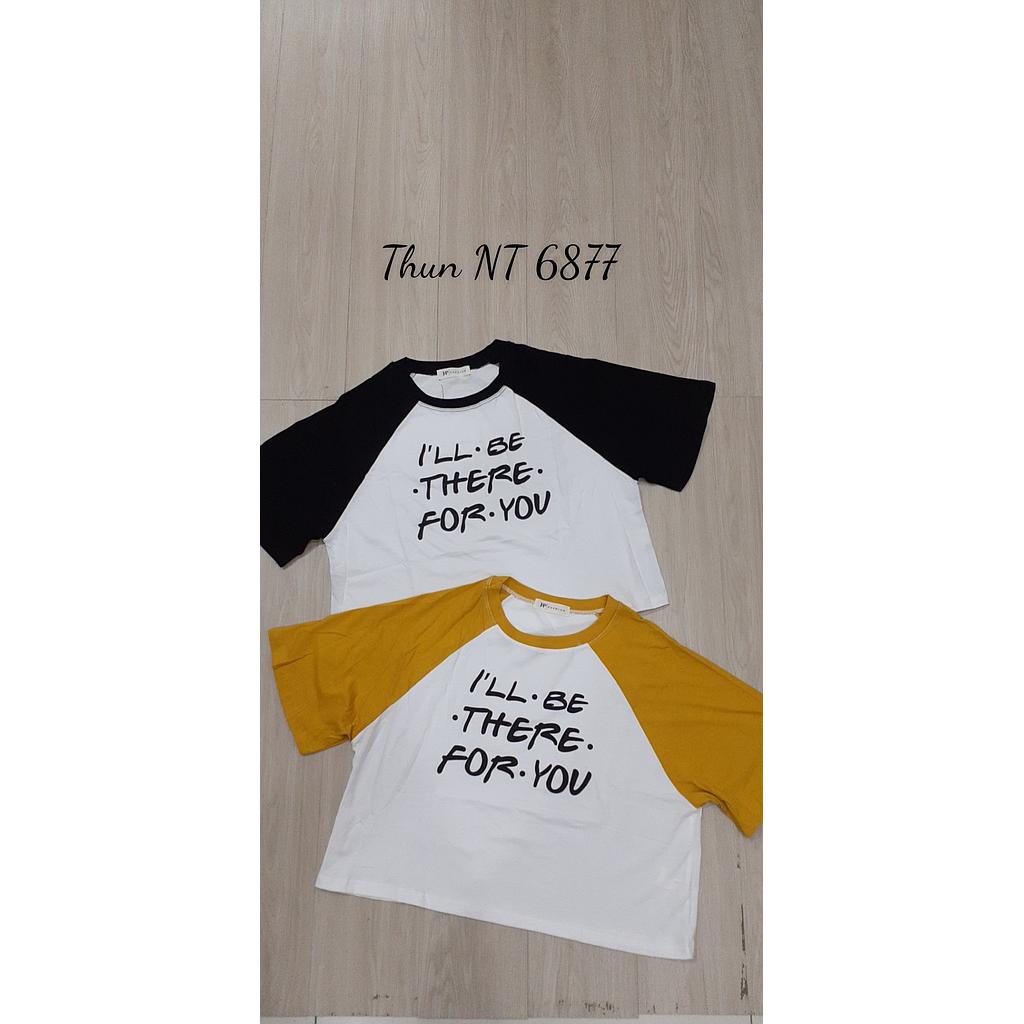 Thun in chu NT 687702