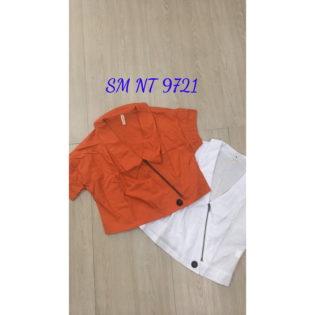 SM NT 972101