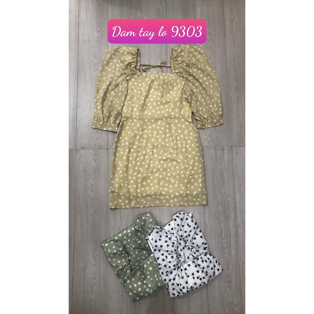 Dam kieu tay lo 930301