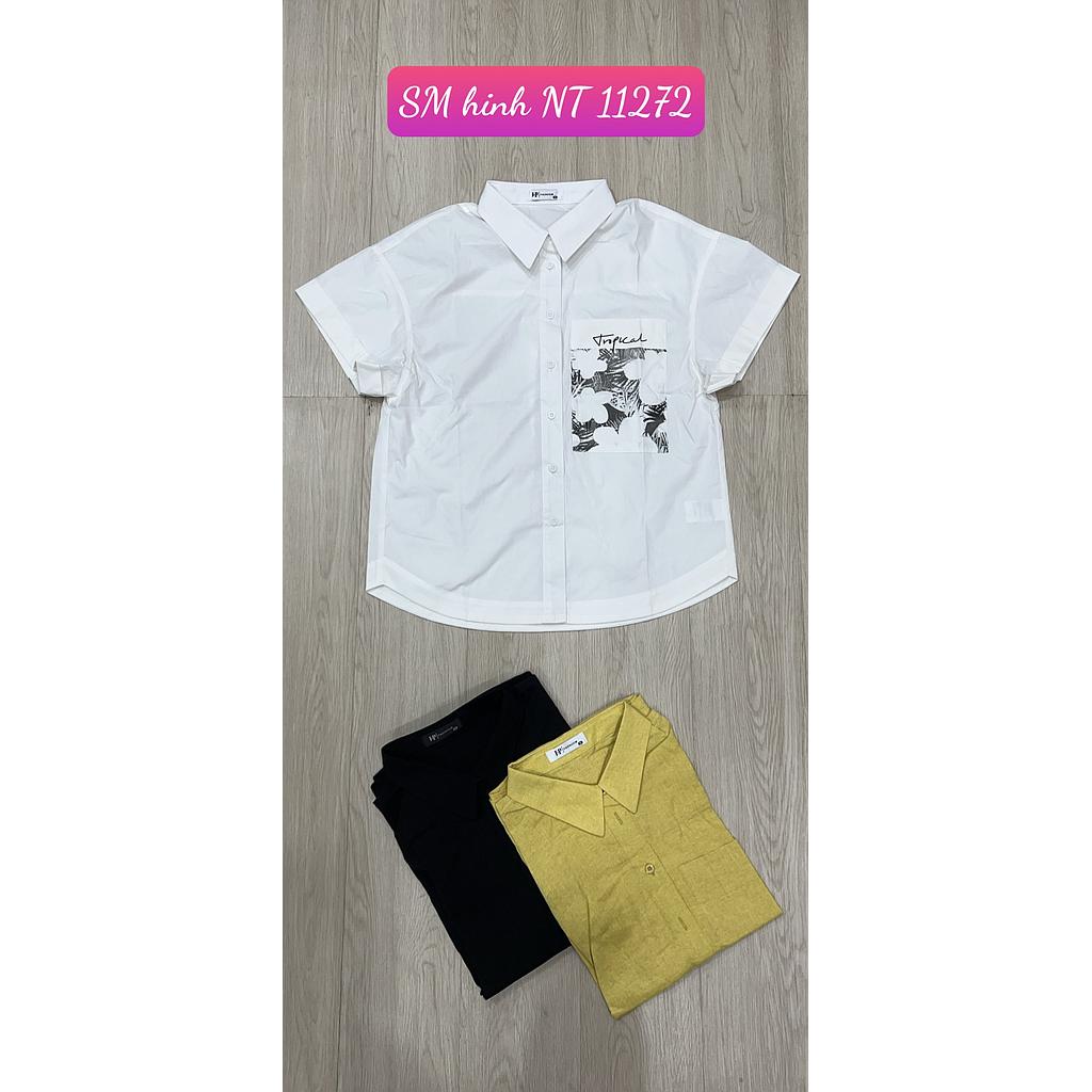 SM kieu NT 11272-101