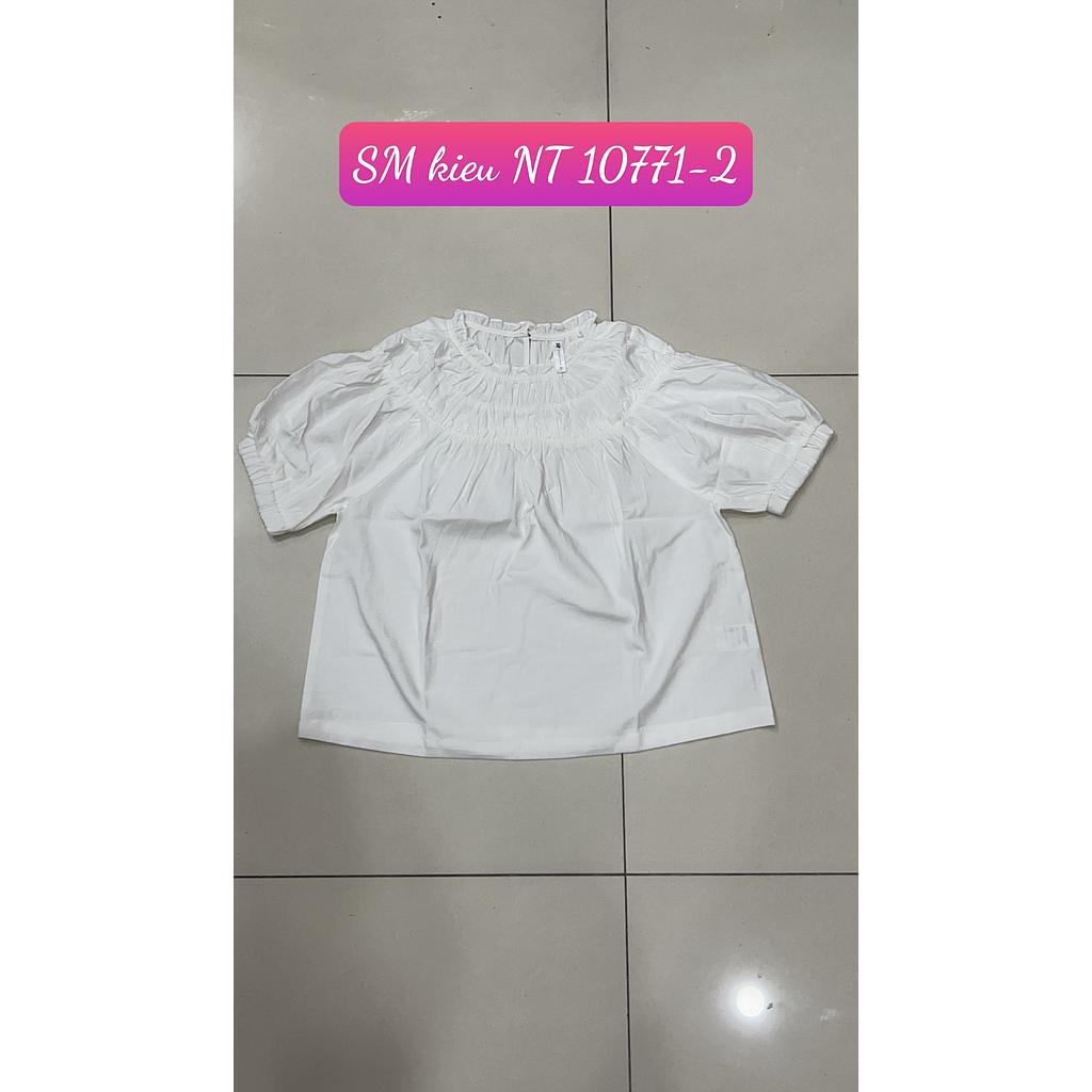 SM kieu NT 10771-201
