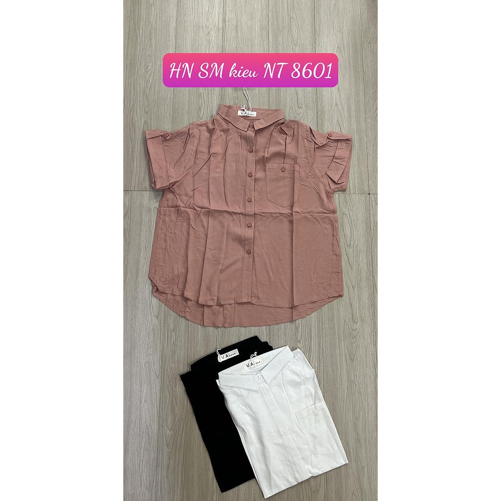 SM kieu NT HN 860105