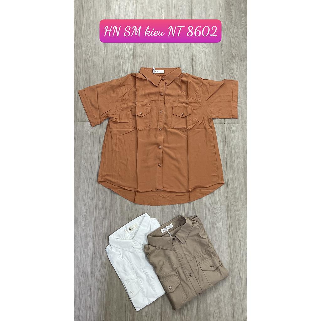 SM kieu NT HN 860205