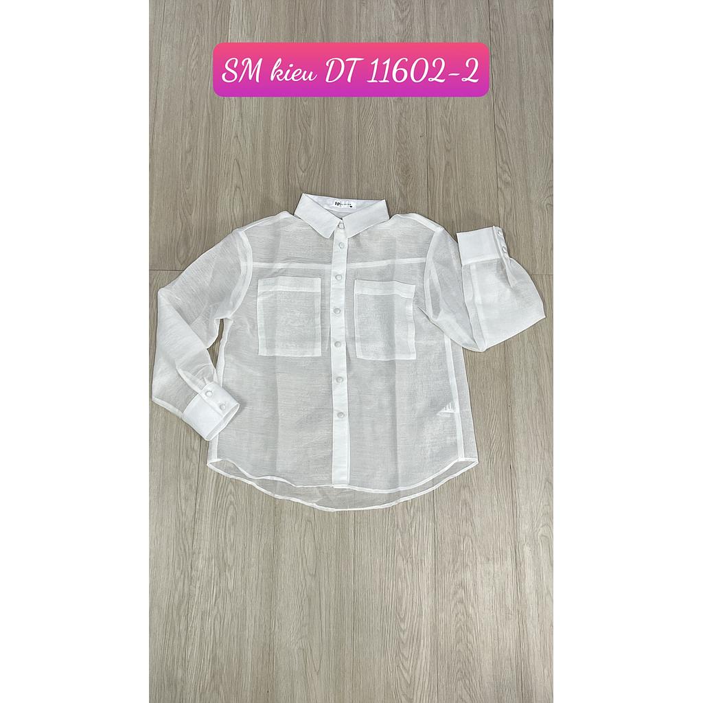 SM kieu DT GT 11602-201