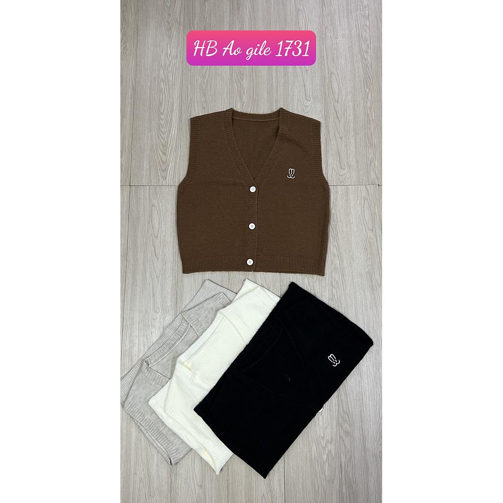 Ao gile HB 173105