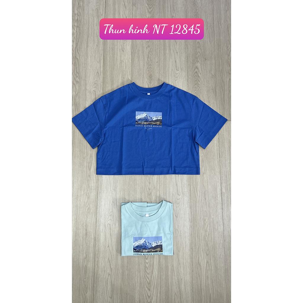 Thun hinh NT 1284501