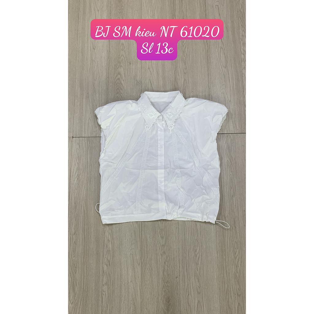 SM kieu NT BJ 6102005