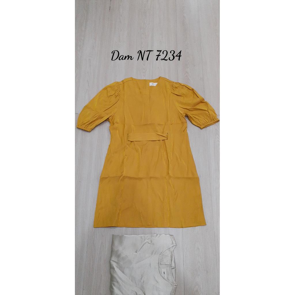 Dam NT 723401