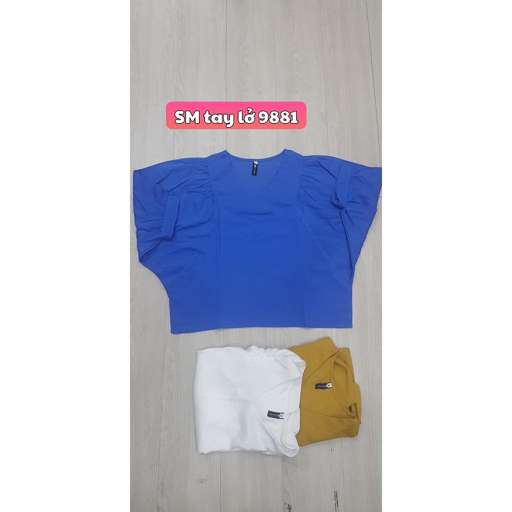 SM kieu tay lo 988101