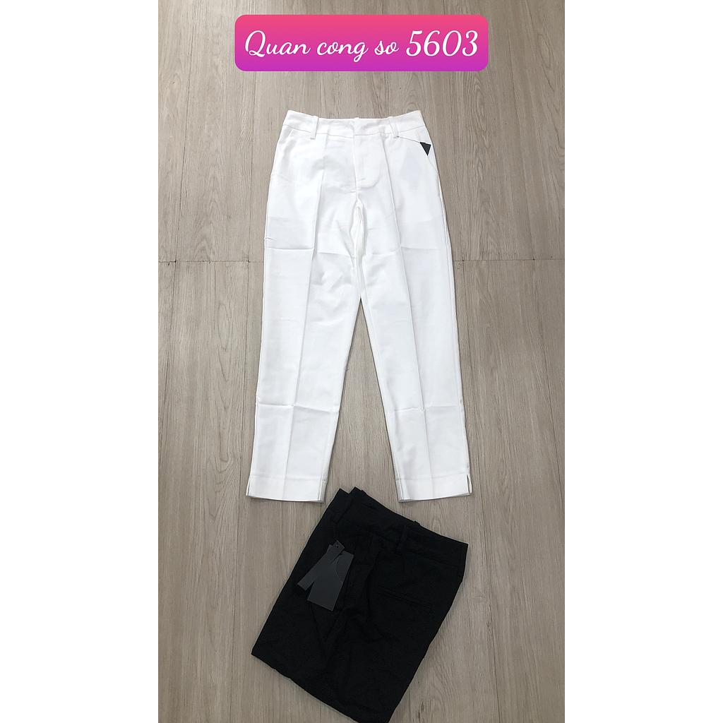 Quan cong so 560302