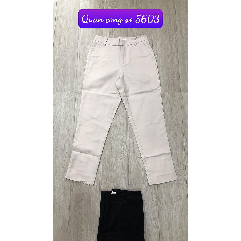Quan cong so 560302