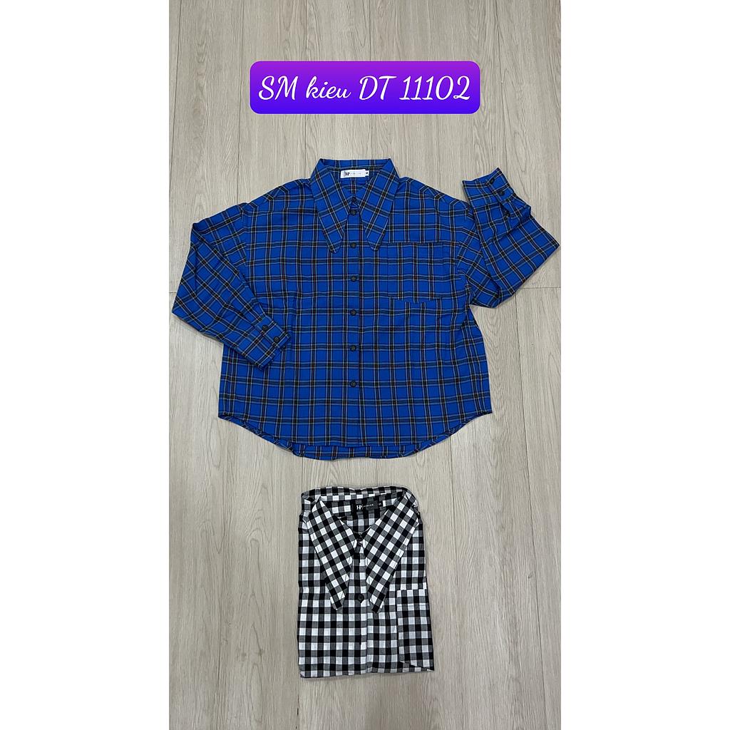 SM kieu DT 1110201