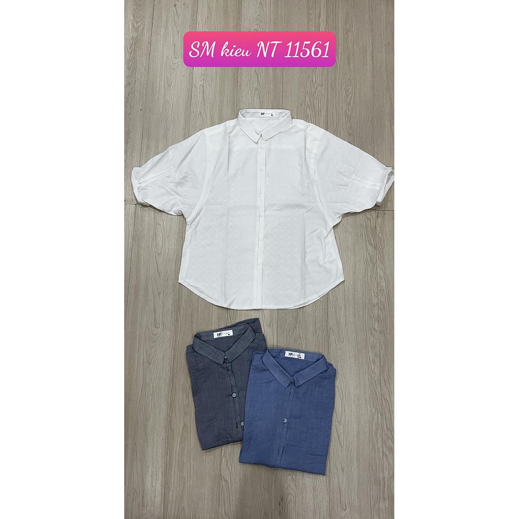 SM kieu NT GT 1156101