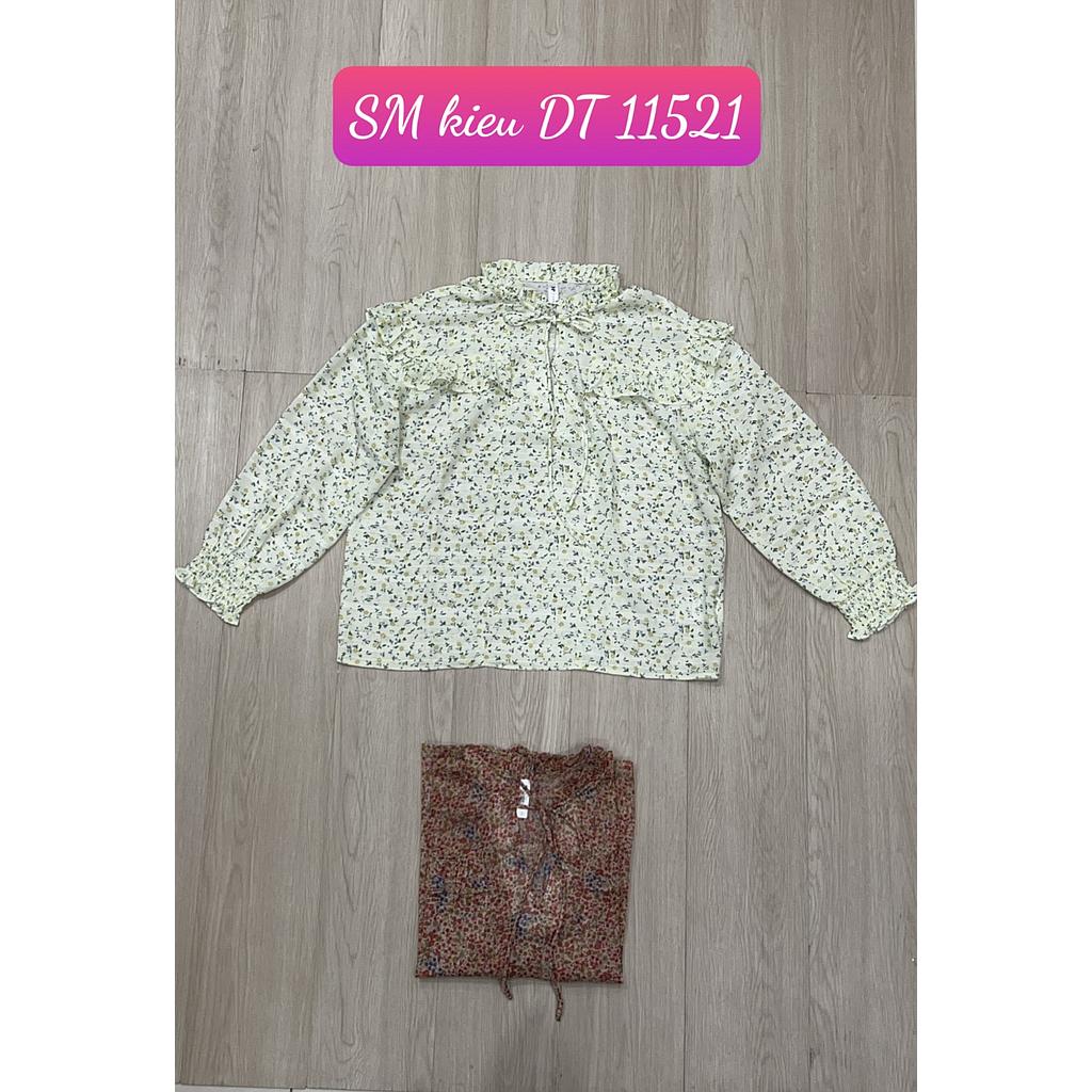 SM kieu DT GT 1152101