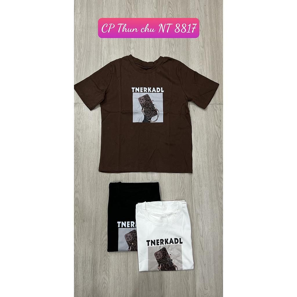 Thun hinh NT CP 881703