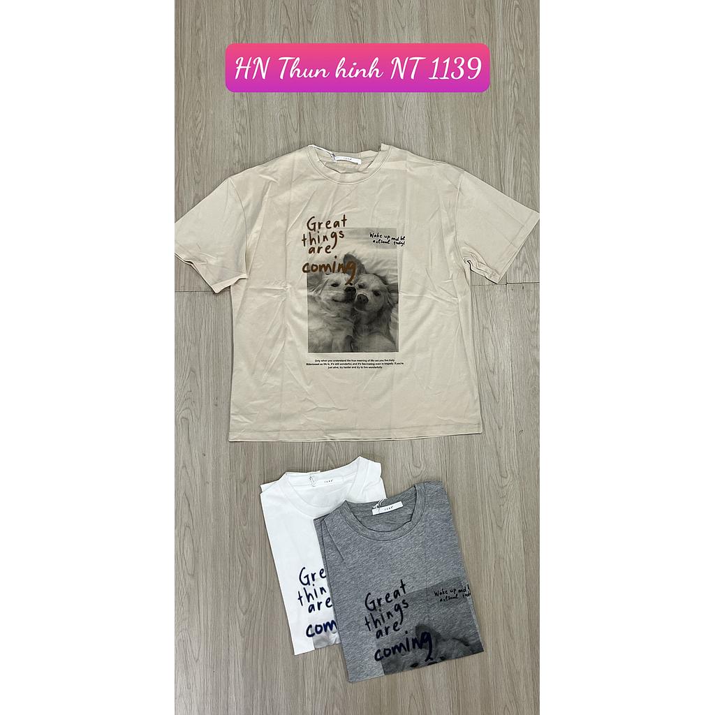 Thun hinh NT HN 113905