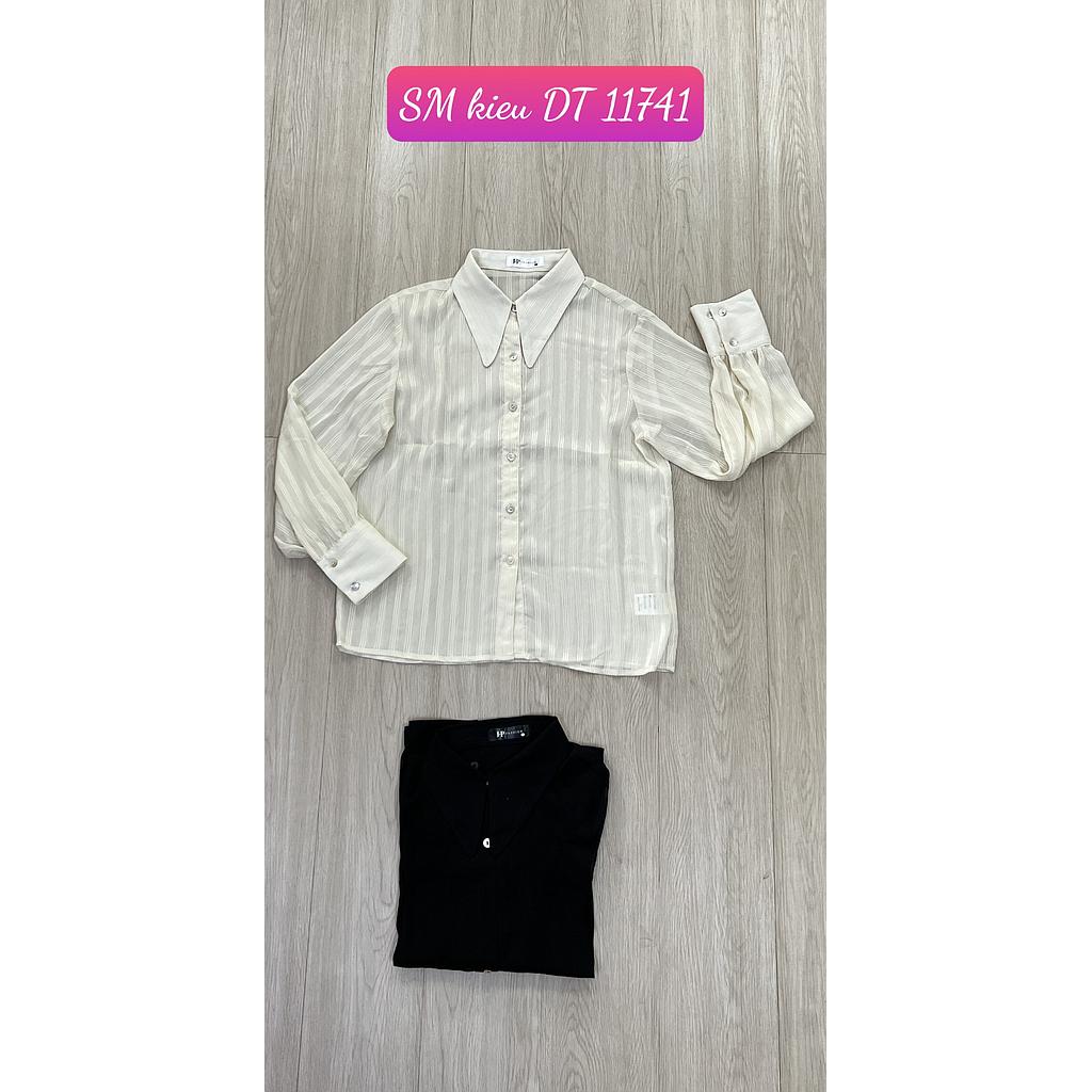 SM kieu DT GT 1174101