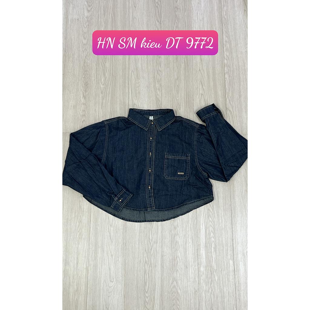 SM kieu DT HN 977205