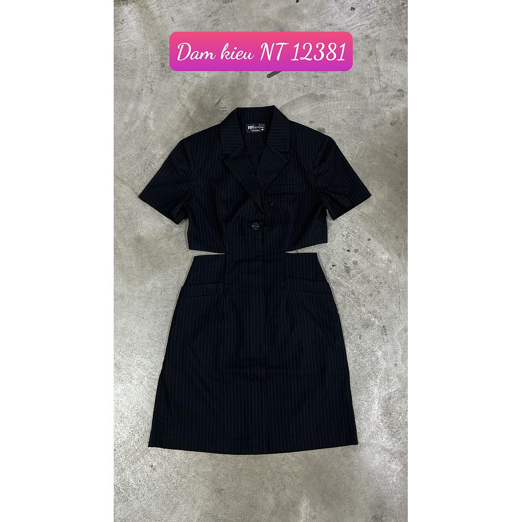 Dam kieu NT 12381-101