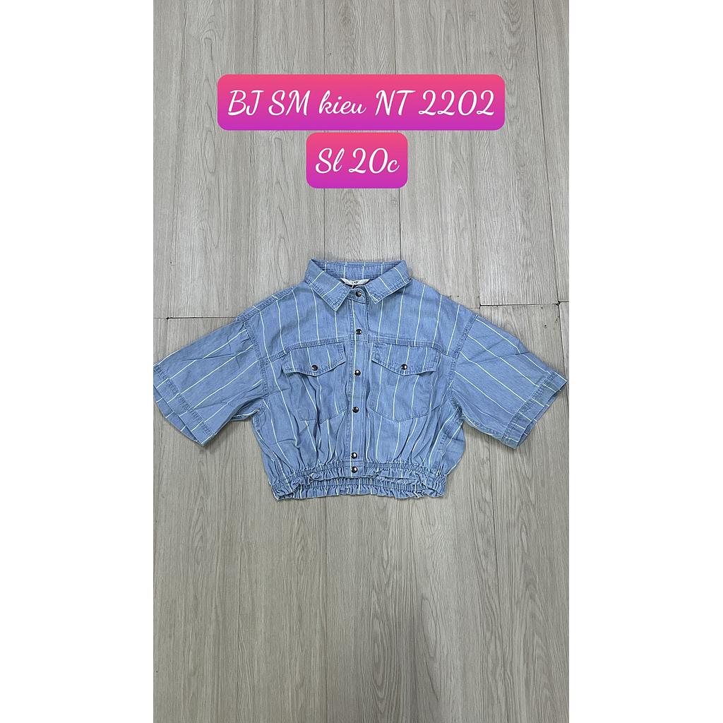 SM kieu NT BJ 220205