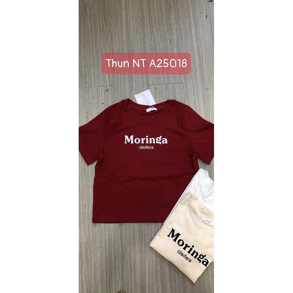 Thun kieu NT 2501802