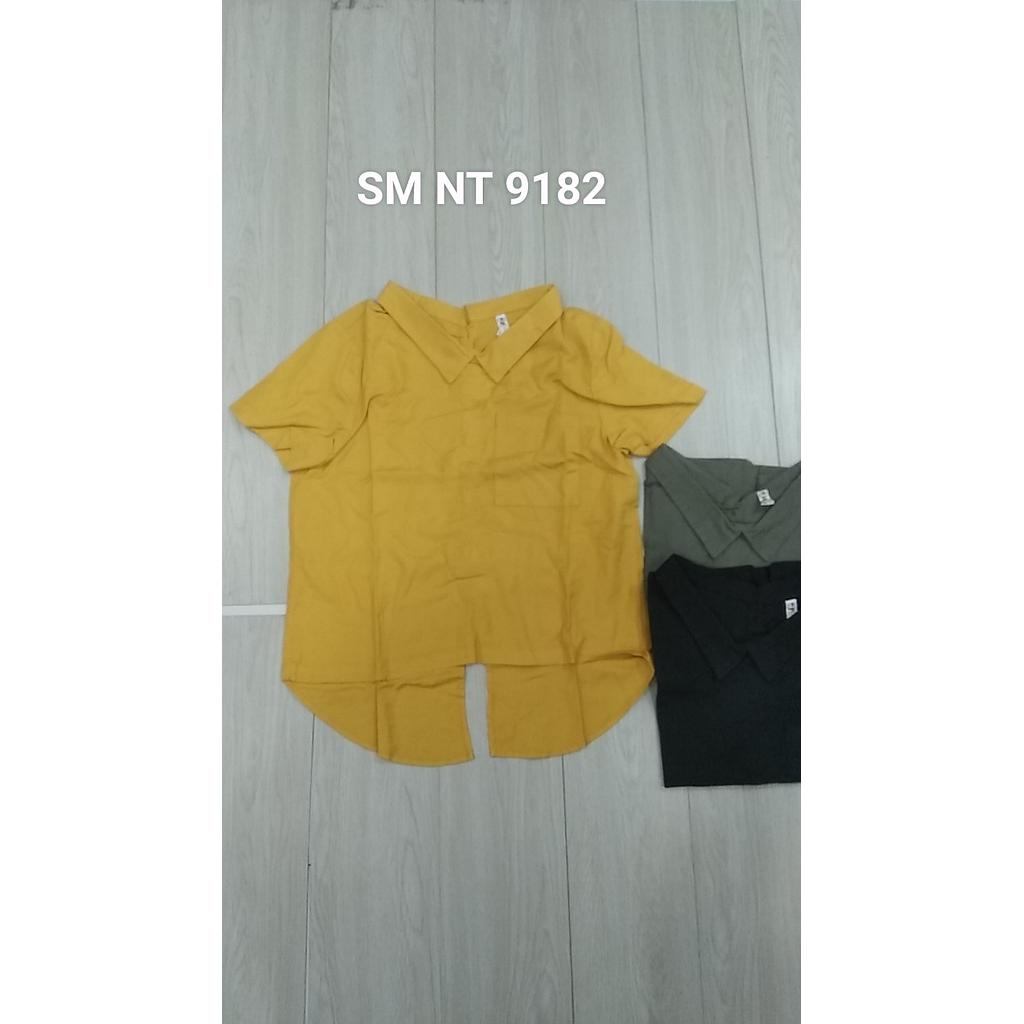 SM NT 918201