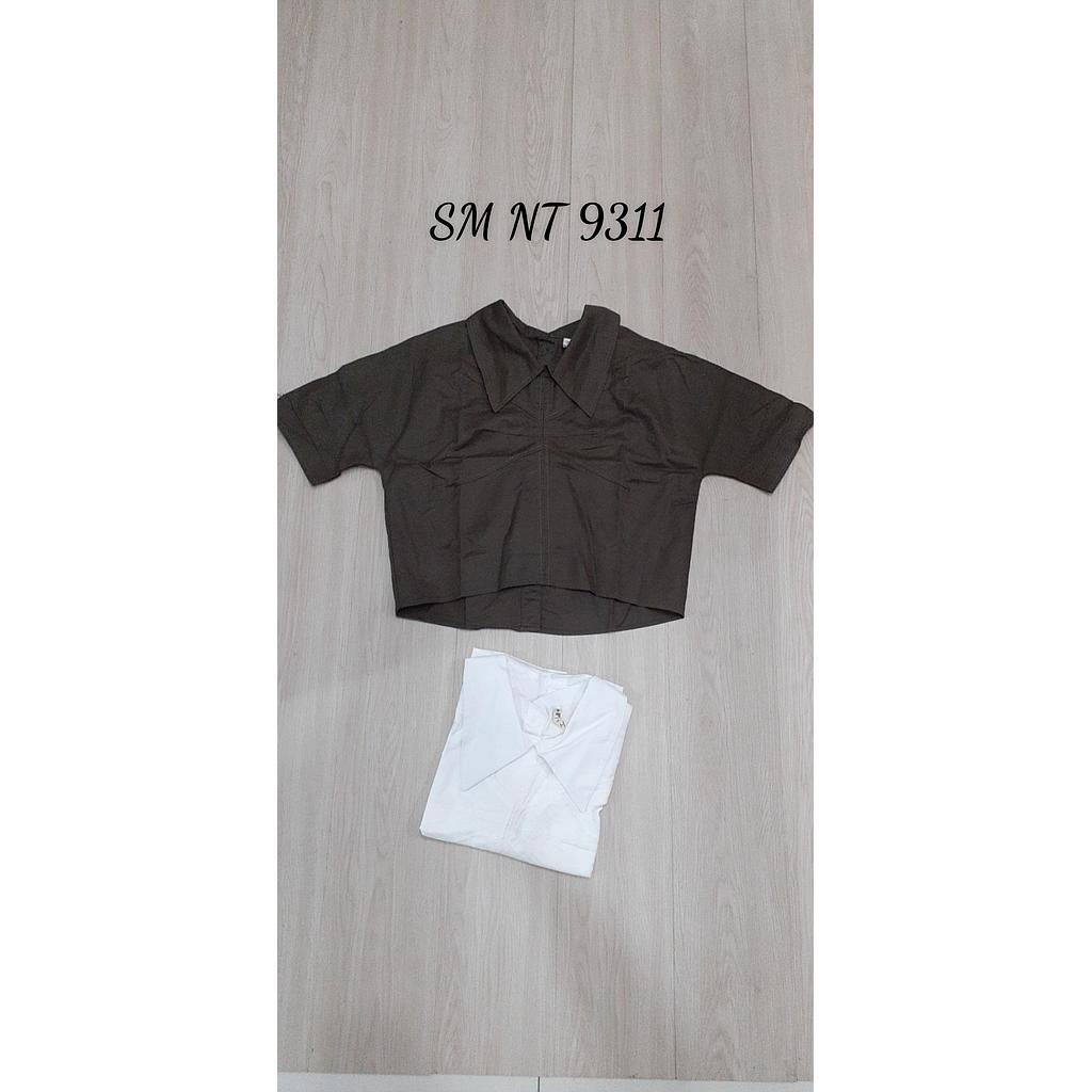 SM NT 931101