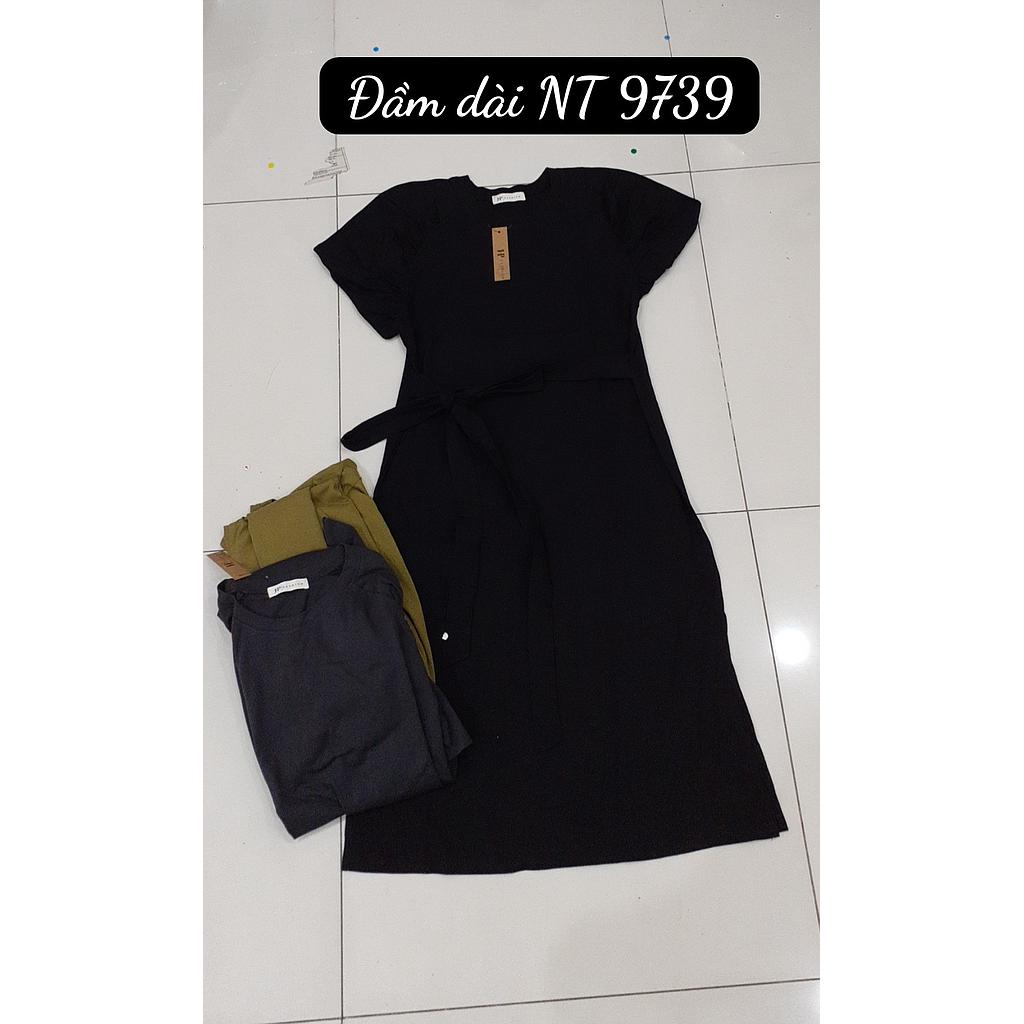 Dam NT 973901