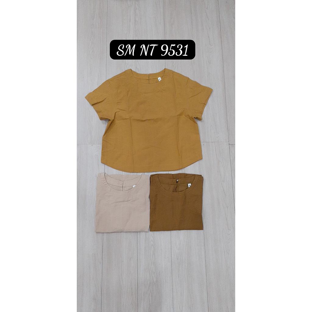 SM NT 953101