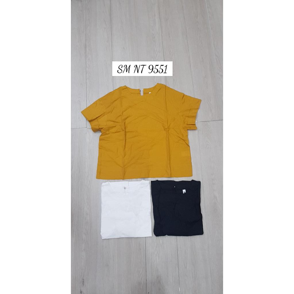 SM NT 955101