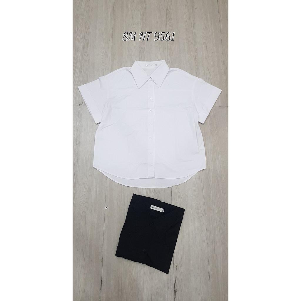SM NT 956101