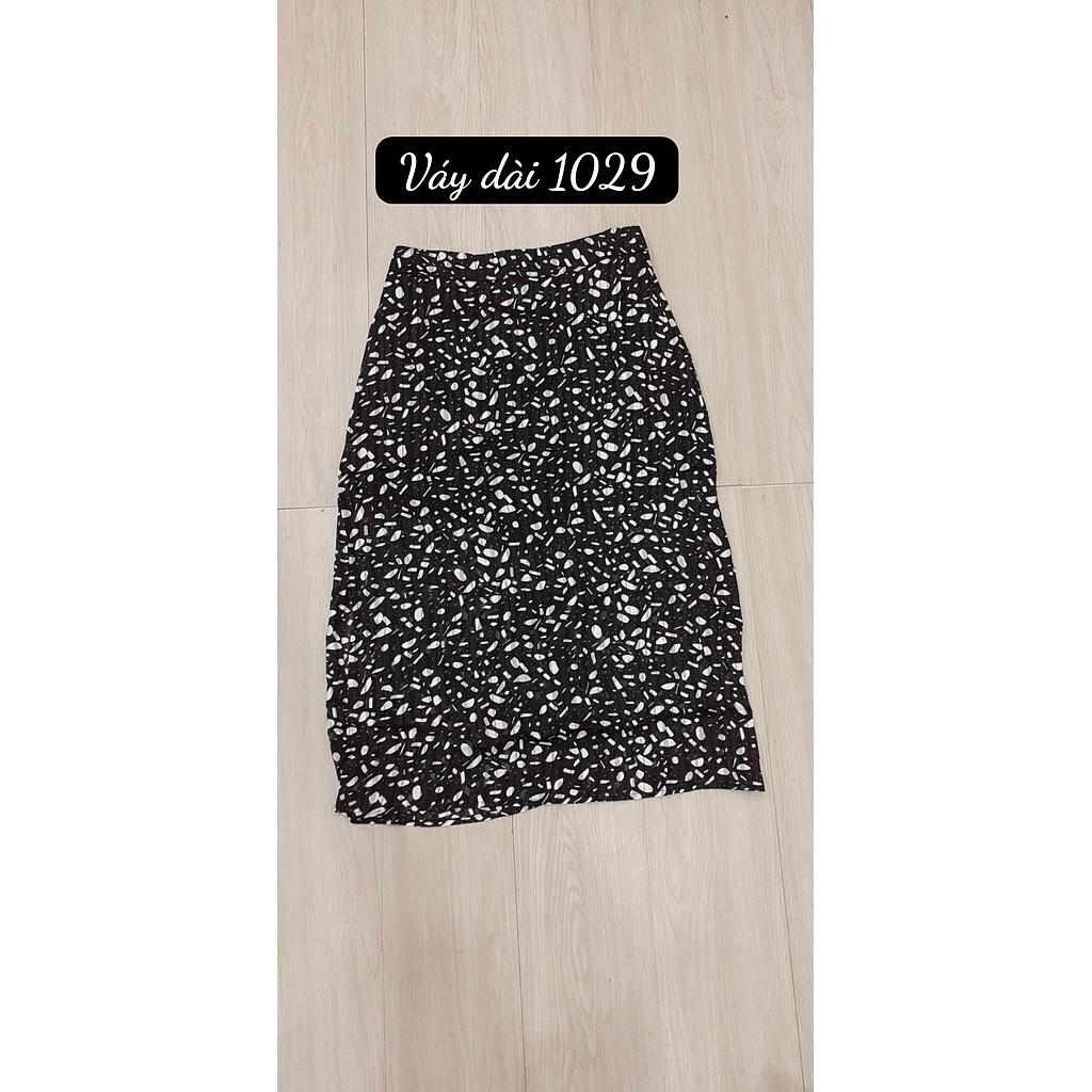 Vay dai 102902