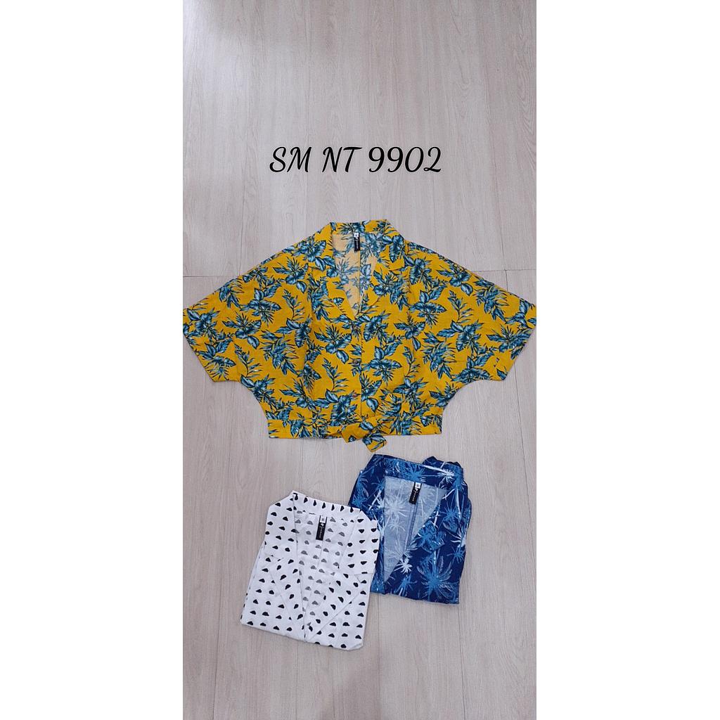 SM kieu NT 990201
