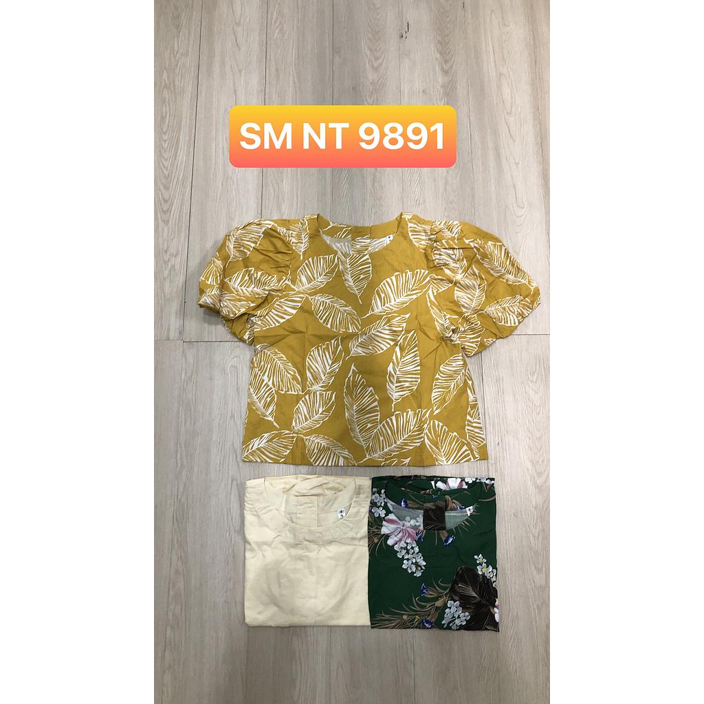 SM NT 989101