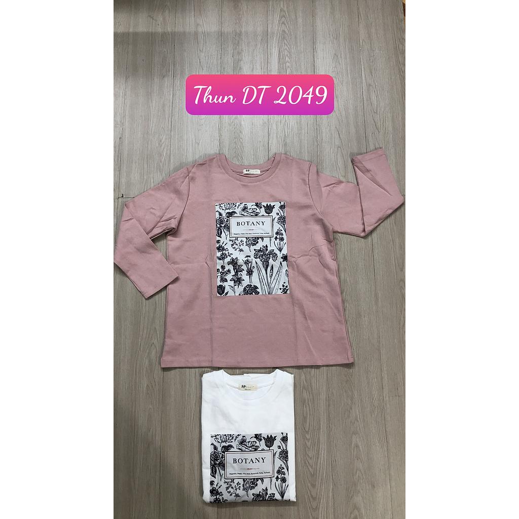 Thun in DT 204902