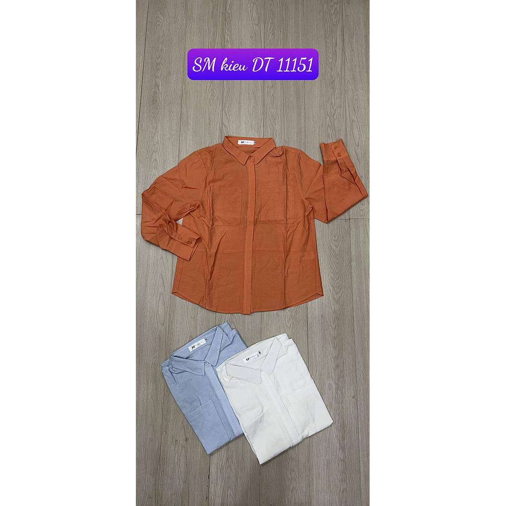 SM kieu DT 1115101