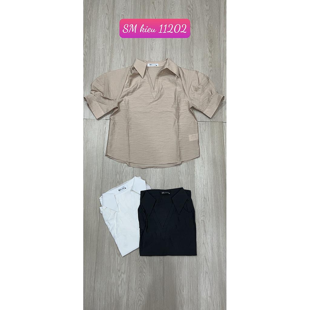 SM kieu NT 1120201