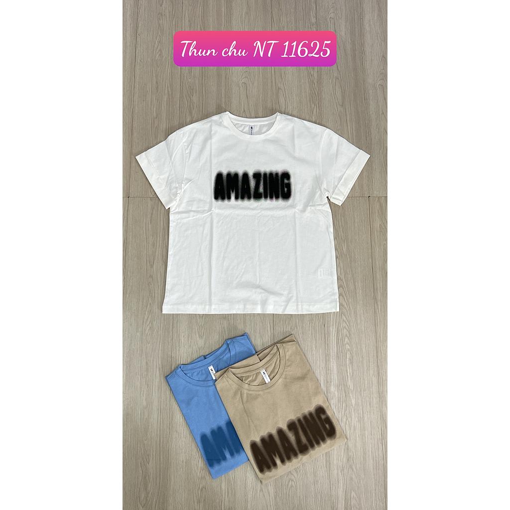 Thun chu NT 1162501