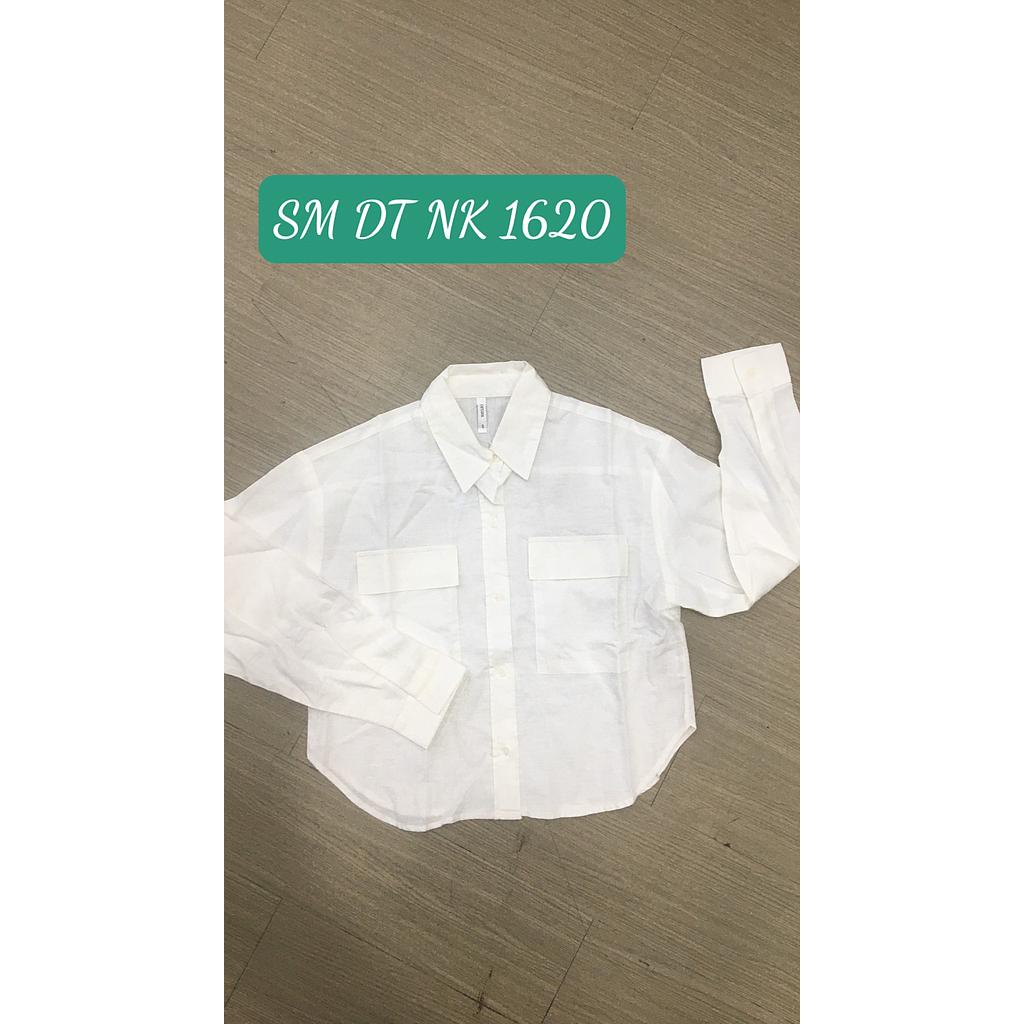 SM kieu DT 162005