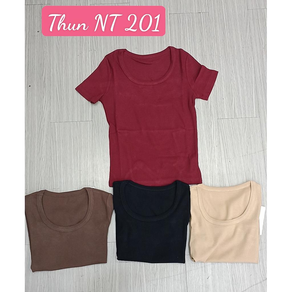 Thun kieu NT 20102